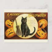 Victoriaans Halloween Black Cat en Pompoenen Briefkaart (Voorkant)