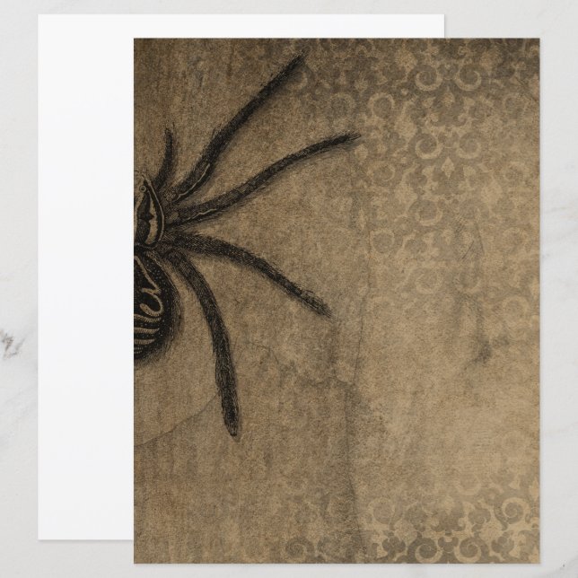 Victoriaans Halloween Gothic Spider Scrapbook pape (Voorkant / Achterkant)