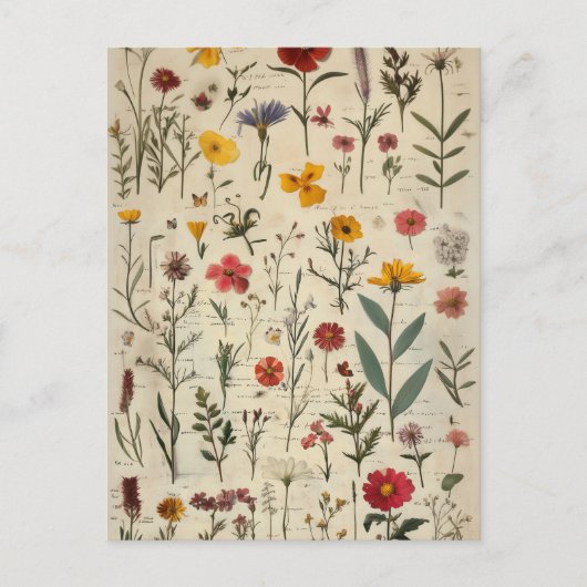 Victoriaans Herbarium stijl afbeelding Briefkaart (Voorkant)