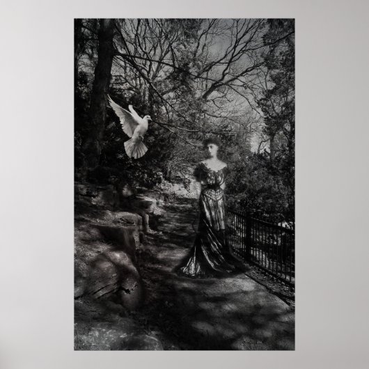 Victoriaans High Park ...een wandeling op tijd Poster (Voorkant)