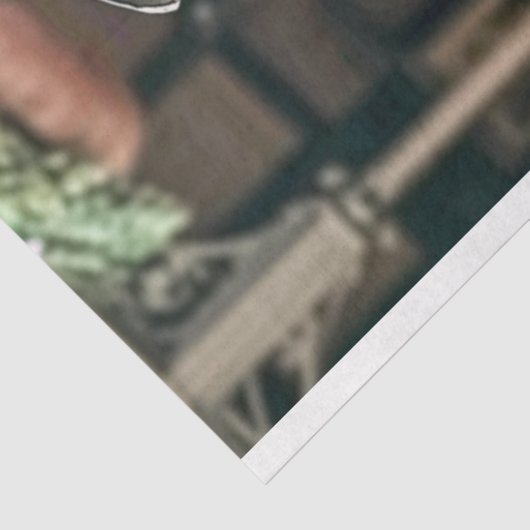 Victoriaans Hippo paar Decoupage Tissuepapier (Detail)