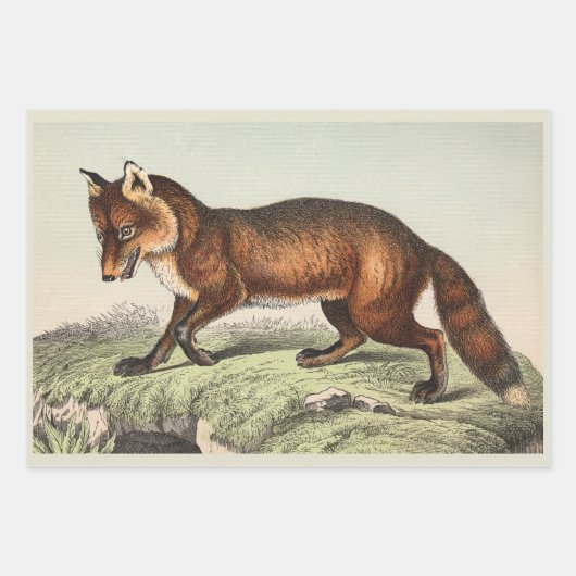 Victoriaans honden Prints Inpakpapier Vel (Voorkant 2)