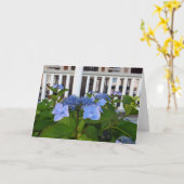 Victoriaans Hydrangea en Porch - Wijnwerf van Mart Kaart (Gele Bloem)