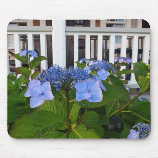 Victoriaans Hydrangea en Porch - Wijnwerf van Mart Muismat (Voorkant)
