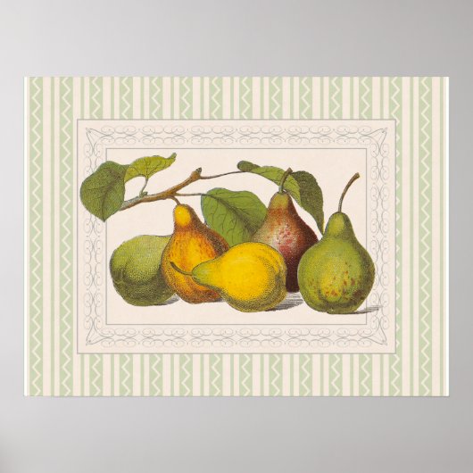  Victoriaans illustratie van peren Poster (Voorkant)