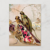 Victoriaans Insecten Briefkaart (Voorkant)