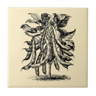 Victoriaans jaar: groenten en fruit Tegeltje