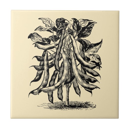  Victoriaans jaar: groenten en fruit Tegeltje (Voorkant)