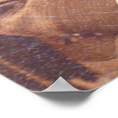 Victoriaans jongen met een ongelukkige haarstijl poster (Hoek)