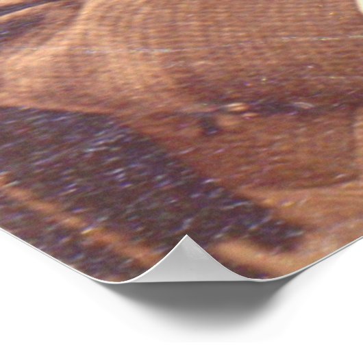 Victoriaans jongen met een ongelukkige haarstijl poster (Hoek)