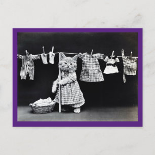 Victoriaans kat, , kattenkunstBriefkaart Briefkaart