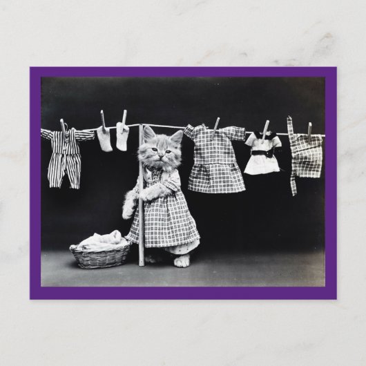 Victoriaans kat, , kattenkunstBriefkaart Briefkaart (Voorkant)