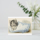  Victoriaans kat Kitten Briefkaart (Staand voorkant)