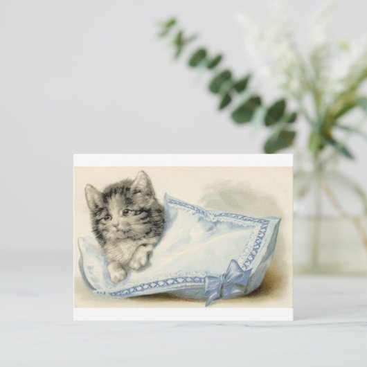  Victoriaans kat Kitten Briefkaart (Staand voorkant)