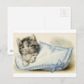  Victoriaans kat Kitten Briefkaart (Voorkant / Achterkant)