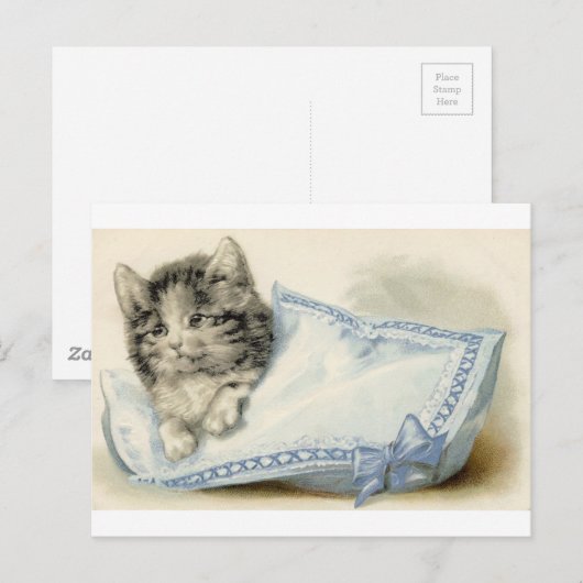 Victoriaans kat Kitten Briefkaart (Voorkant / Achterkant)