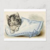 Victoriaans kat Kitten Briefkaart (Voorkant)
