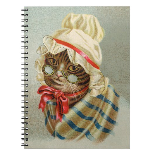 Victoriaans kat met glazen spiraal Notitieboek (Voorkant)