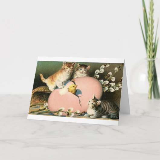 Victoriaans Katjes en de Uitbroedende Kaart van (Voorkant)