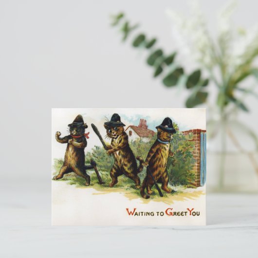  Victoriaans katten Briefkaart (Staand voorkant)