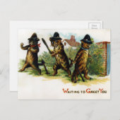  Victoriaans katten Briefkaart (Voorkant / Achterkant)