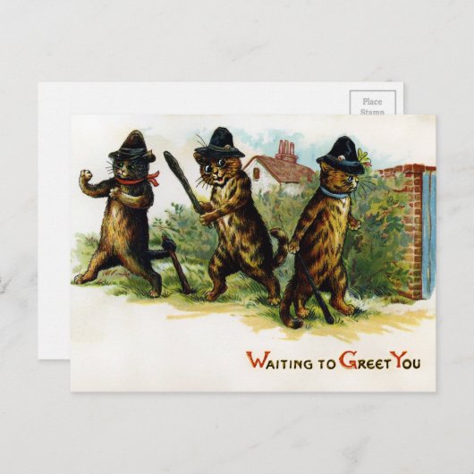  Victoriaans katten Briefkaart (Voorkant / Achterkant)