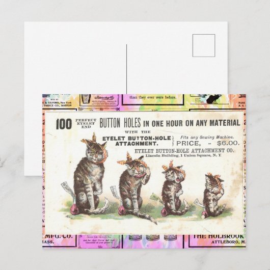 Victoriaans katten met tandpijn Briefkaart (Voorkant / Achterkant)
