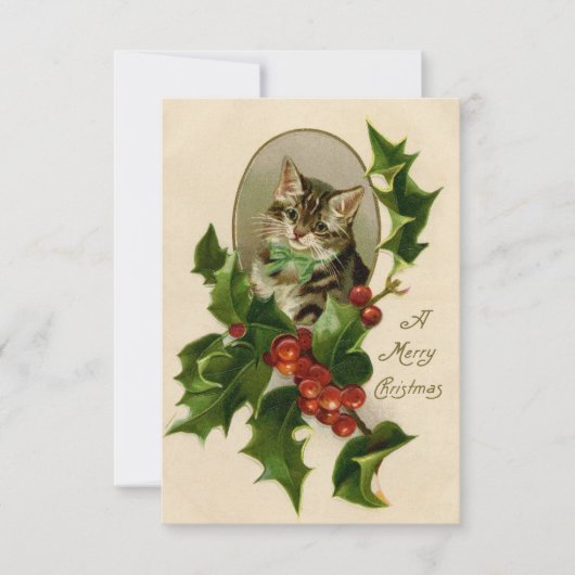 Victoriaans Kerstkitten in hulst antieke tabby (Voorkant)