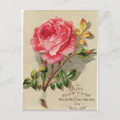 Victoriaans kerstRoos Briefkaart (Voorkant)