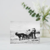  Victoriaans Kinder dieren Waterverf Zee Briefkaart (Staand voorkant)