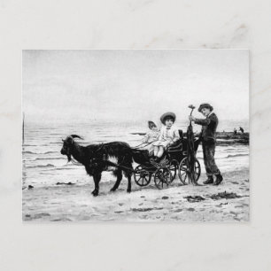  Victoriaans Kinder dieren Waterverf Zee Briefkaart