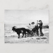 Victoriaans Kinder dieren Waterverf Zee Briefkaart (Voorkant)