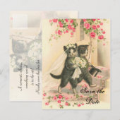 Victoriaans Kitten Wedding Save the Date Aankondigingskaart (Voorkant / Achterkant)