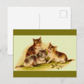Victoriaans kittens briefkaart (Voorkant / Achterkant)
