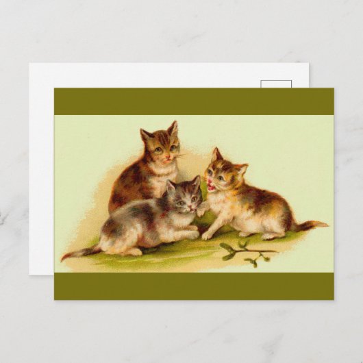 Victoriaans kittens briefkaart (Voorkant / Achterkant)