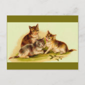 Victoriaans kittens briefkaart (Voorkant)