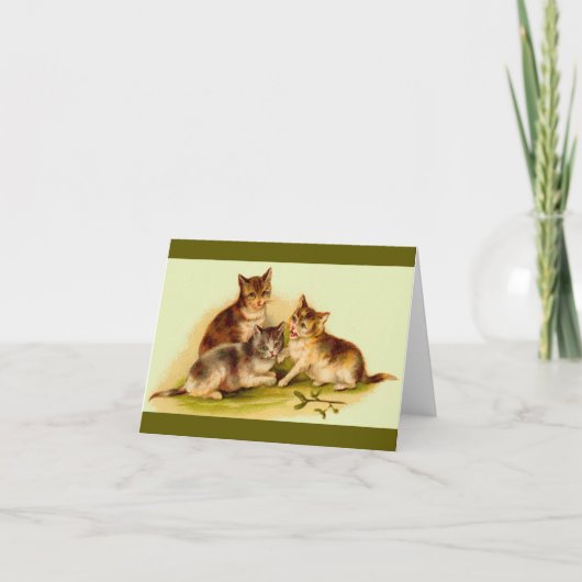 Victoriaans kittens notitiekaartje (Voorkant)