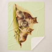 Victoriaans kittens sherpa deken (Voorkant)
