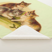 Victoriaans kittens sherpa deken (3/4)