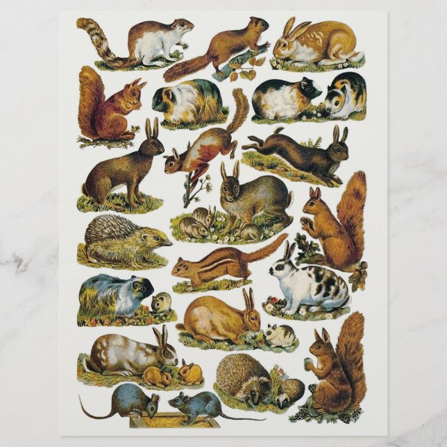 Victoriaans kleine dierlijke kieskeurige sneden (Voorkant)