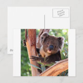 Victoriaans Koala Briefkaart (Voorkant / Achterkant)