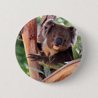 Victoriaans Koala Ronde Button 5,7 Cm