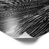  Victoriaans Kraken Poster (Hoek)