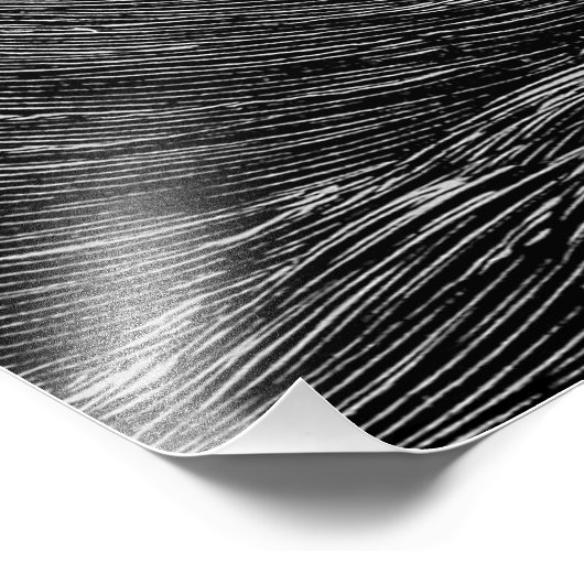  Victoriaans Kraken Poster (Hoek)