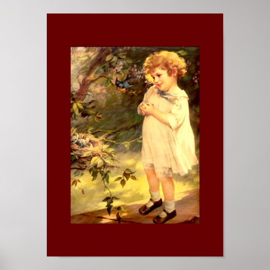 Victoriaans kudde met vogels poster (Voorkant)