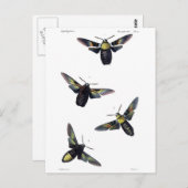 Victoriaans maanden briefkaart (Voorkant / Achterkant)