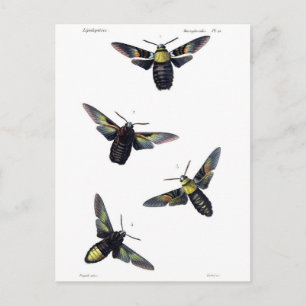 Victoriaans maanden briefkaart