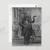  Victoriaans Man in Suit met Elephant Head Briefkaart (Voorkant / Achterkant)