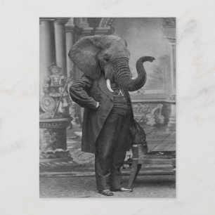  Victoriaans Man in Suit met Elephant Head Briefkaart