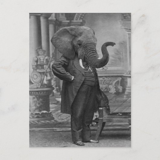  Victoriaans Man in Suit met Elephant Head Briefkaart (Voorkant)